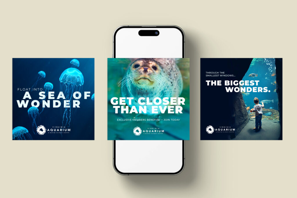 Virginia Aquarium - Social Spec Ads
